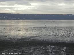 Images 5 3